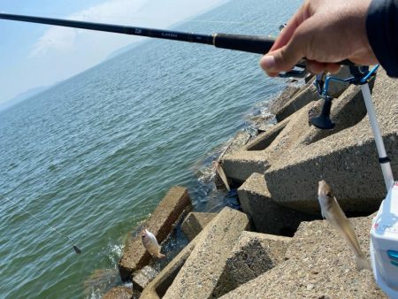 チャリコギスタ