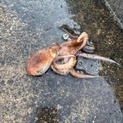 ロック&ベイビー