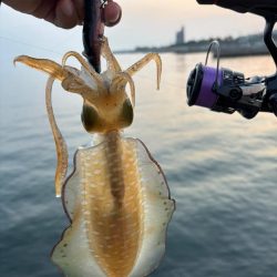イカ1時間青物1時間その後はポツポツ