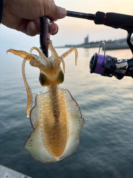 イカ1時間青物1時間その後はポツポツ