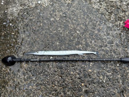 久しぶりのフカセ釣り