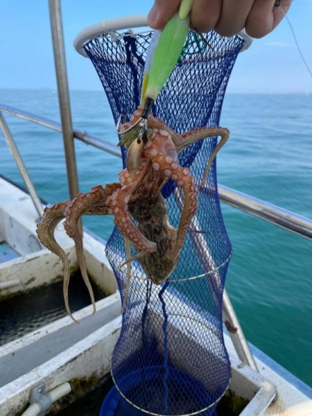今シーズン最後のマダコ釣り