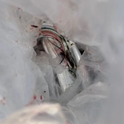 博多湾夏の風物詩