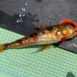 2025.8Mission新潟のつり③