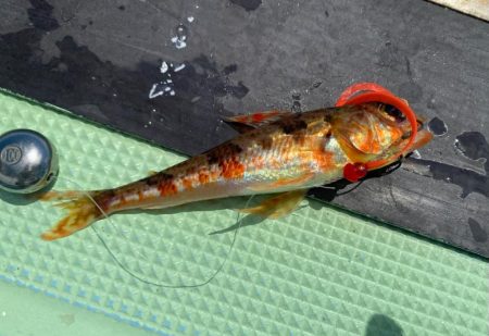 2025.8Mission新潟のつり③