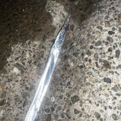 タコ、ダツ⁉️