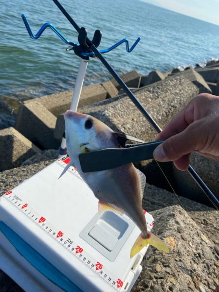 シロギスタ:大盛ポテチチャリコ