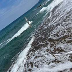 鳥取キス釣り｜荒れ気味で渋いけど小さい群れを探せば釣れる