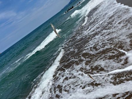 鳥取キス釣り｜荒れ気味で渋いけど小さい群れを探せば釣れる