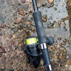 キス釣りなのに…。初めての外道。