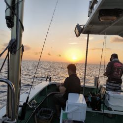 楽しいイカメタル