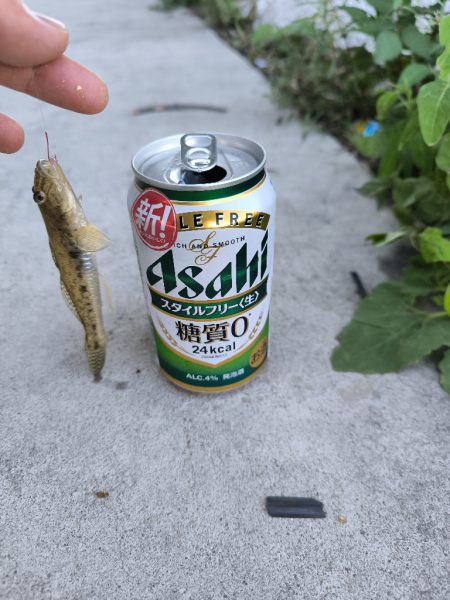 武庫川ハゼ釣り調査