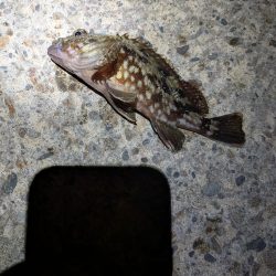 サイズを求めて