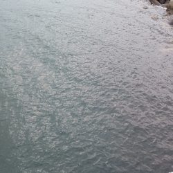 一発フカセ釣り