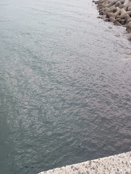 一発フカセ釣り