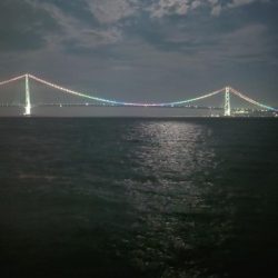 電気ウキ釣り 10