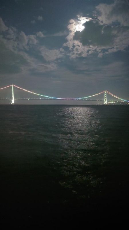 電気ウキ釣り 10