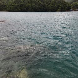 雨の遠征　1日目