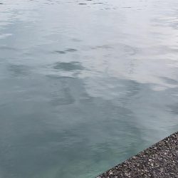 雨の遠征　2日目