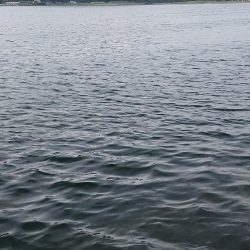 盆の釣り　2日目