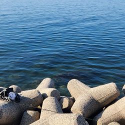 盆の釣り　3日目