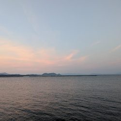 テールピロピロ