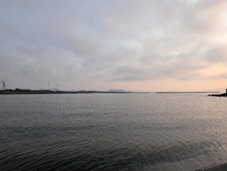 久しぶりのアイツ