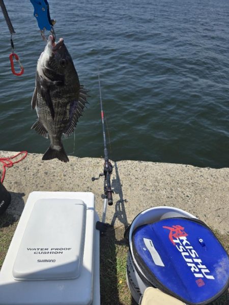 暑さに負けず🥵紀州釣り🥵