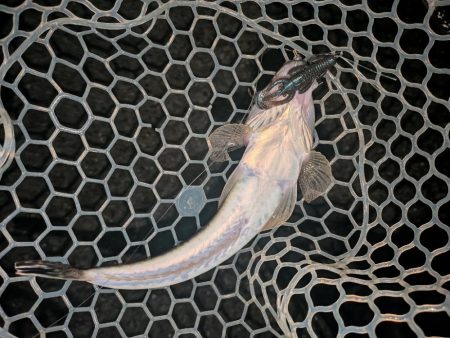 大人の夜遊び広島敷石ネチネチニング