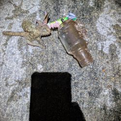 マダコ釣り20250820