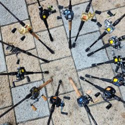 丸1日！広島市内チニング