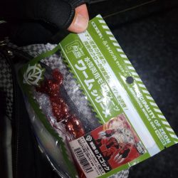 敷石ナイトチニング