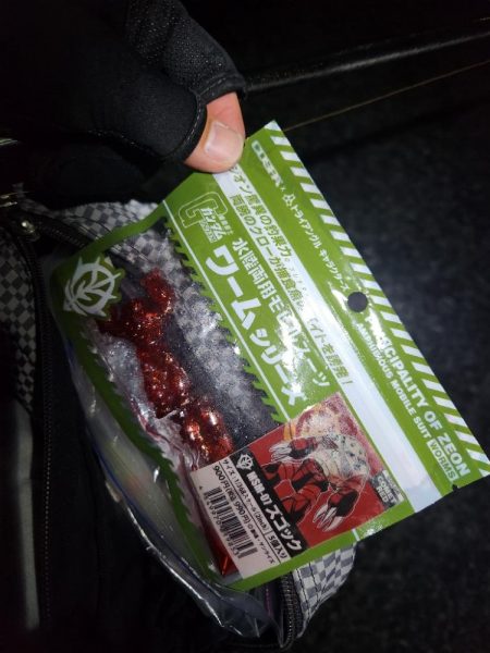 敷石ナイトチニング