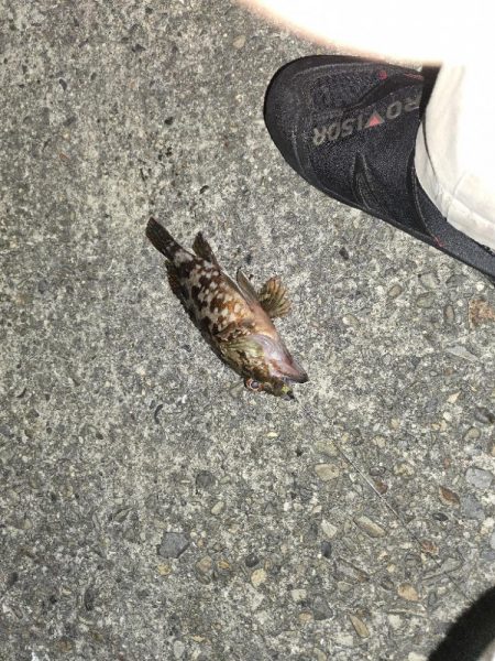 酷暑との戦い…六目釣り