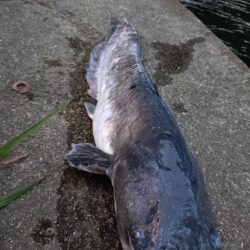 光の中から現れたのは