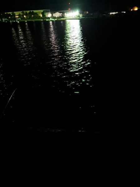 真夜中サビキ釣りと太刀魚調査