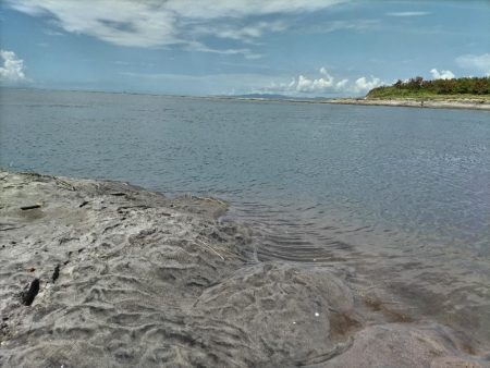 灼熱のデイゲームでマゴチ釣れました!