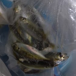 真夏のナイトファミリーフィッシング