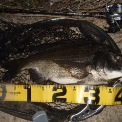 ホームエリアで