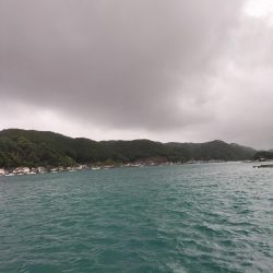 三重・和歌山遠征1日目