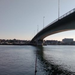 東二見のキス調査