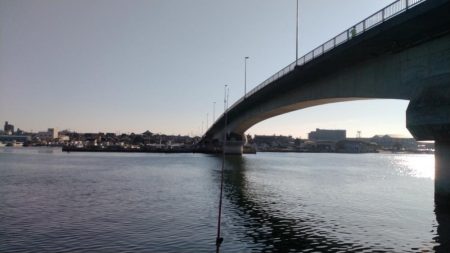 東二見のキス調査