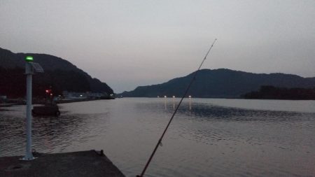 津居山港のキス調査