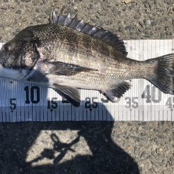 イチノ兄弟、釣果！