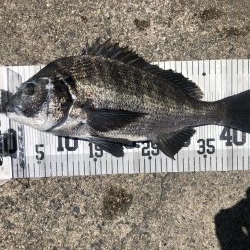 イチノ兄弟、釣果！