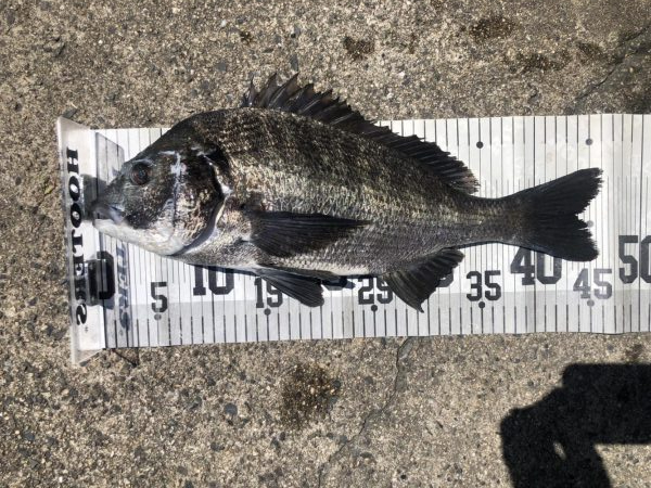 イチノ兄弟、釣果！