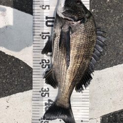 イチノ兄弟、釣果!