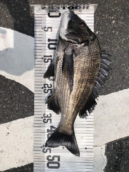 イチノ兄弟、釣果!