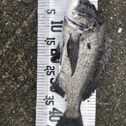 イチノ兄弟、釣果!