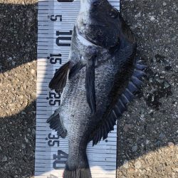 イチノ兄弟、釣果！